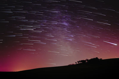 Low angle view of silhouette star field against sky at night