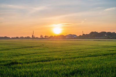 Scenic view of field against sky during sunset