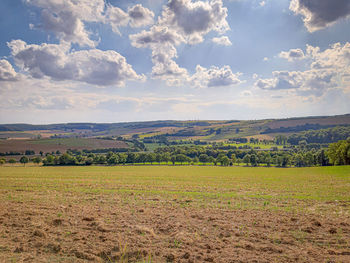 Scenic view of field against sky