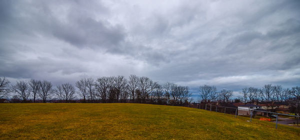 Scenic view of field against sky