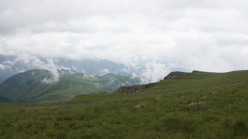 Scenic view of landscape against sky