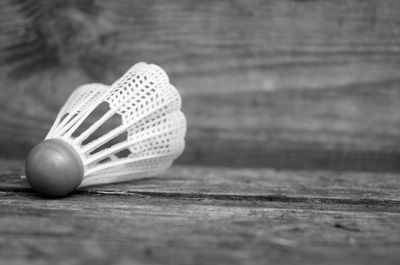 Close-up of seashell on table