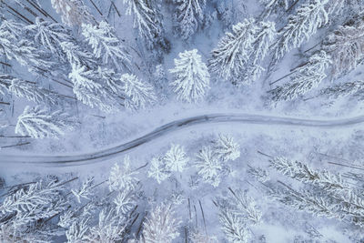 Aerial view of snow covered landscape