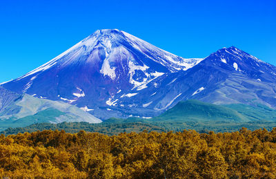 The avachinsky volcano in kamchatka in the autumn with a snow-covered top