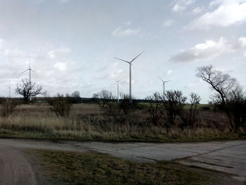 Trees on field against cloudy sky