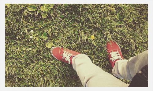 Low section of person standing on grassy field