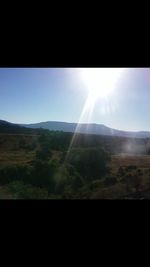 Scenic view of field against clear sky