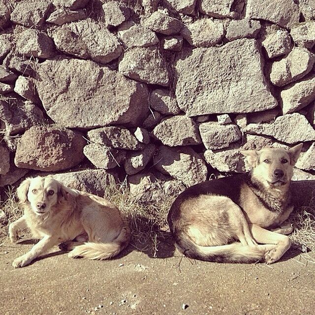 Tipibik&çükübik