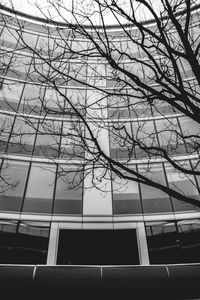 Low angle view of tree against cloudy sky