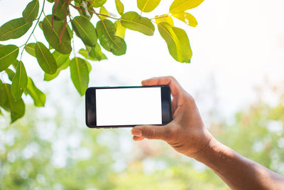 Close-up of cropped hand holding smart phone