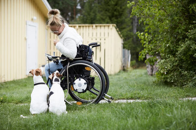Disabled young woman on wheelchair looking at dogs in yard