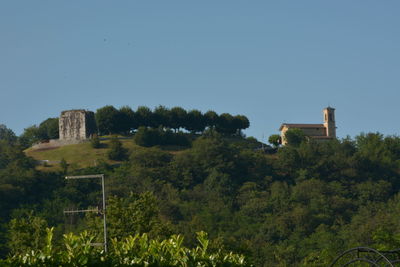 Trees and plants on landscape against clear sky