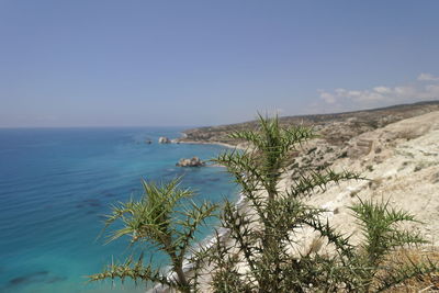 Scenic view of sea and tree against sky
