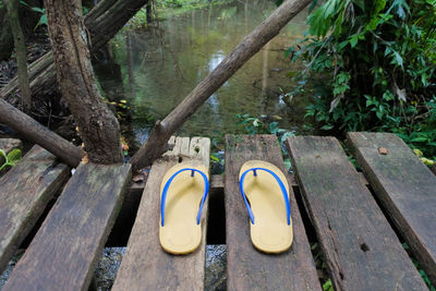 High angle view of shoes by plants in lake