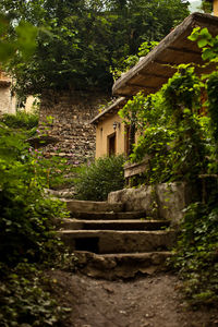 Built structure with trees in background