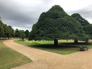 Trees in park against sky