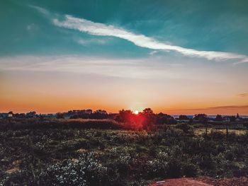 Scenic view of field against sky during sunset