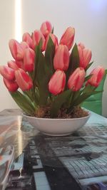 Close-up of red roses in vase on table