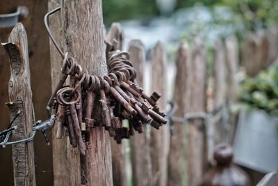 Close-up of rusty keys hanging on fence