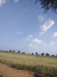 Scenic view of field against sky