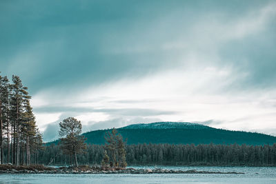 Scenic view of field against sky during winter