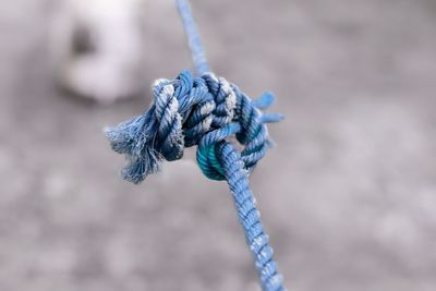 Close-up of tied rope