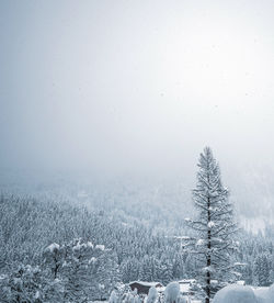 Scenic view of snow covered field against sky