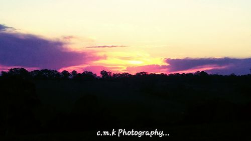 Silhouette trees against sky during sunset