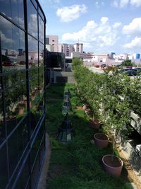 High angle view of potted plants by buildings against sky