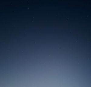 Low angle view of star field against sky at night