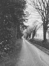 Empty road amidst trees