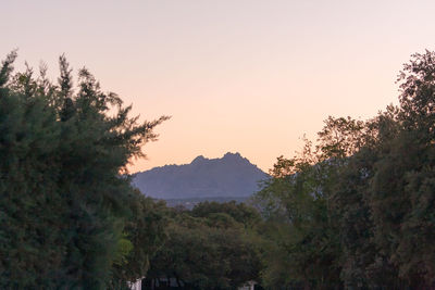 Trees on mountain against sky during sunset