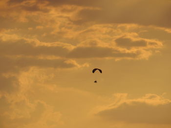 Low angle view of bird flying in sky