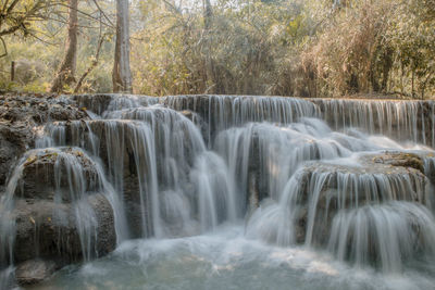 Scenic view of waterfall in forest