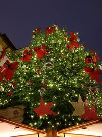 Low angle view of christmas tree at night
