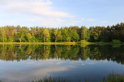 Scenic view of lake in forest against sky