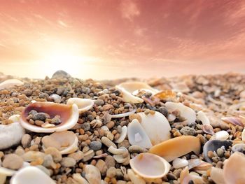 Close-up of pebbles on beach against sky during sunset