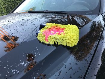 High angle view of wet flowers on car