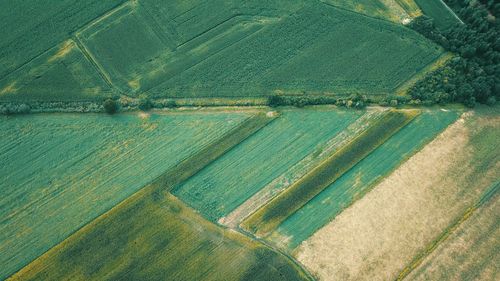 High angle view of agricultural land