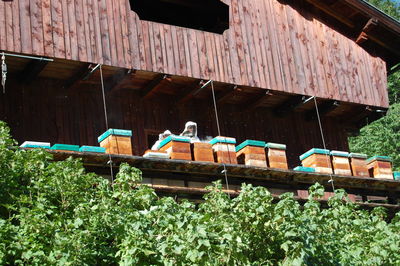 Low angle view of old house against building