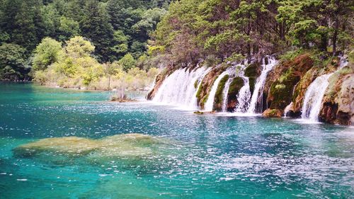 Scenic view of waterfall in forest