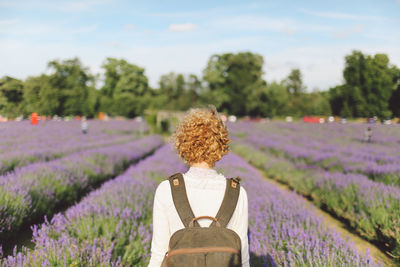 Rear view of woman standing on lavender field