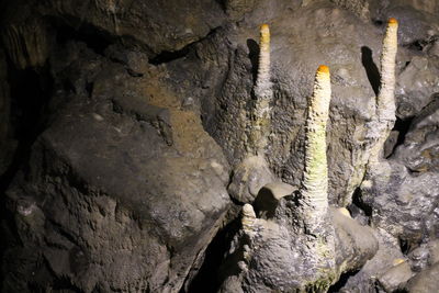 Close-up of rock formation