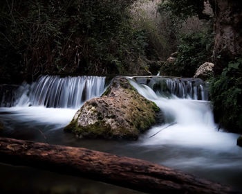 Scenic view of waterfall in forest