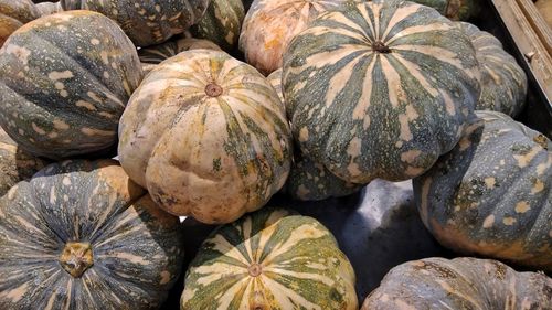 Full frame shot of pumpkins at market