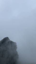 Low angle view of trees against sky