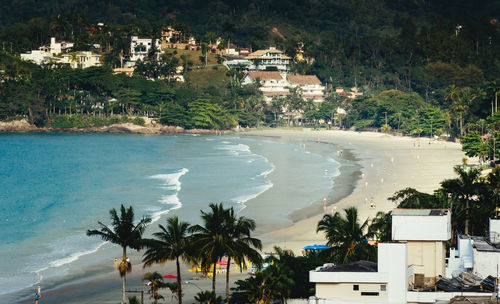 High angle view of palm trees by sea