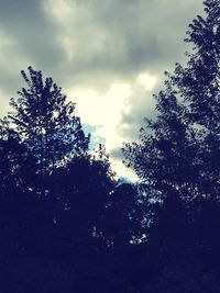 Low angle view of trees against cloudy sky