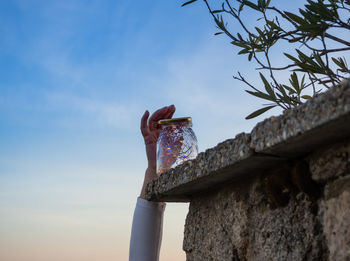 Low angle view of hand holding plant against sky