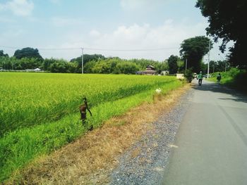 Rear view of woman walking on road by agricultural field against sky